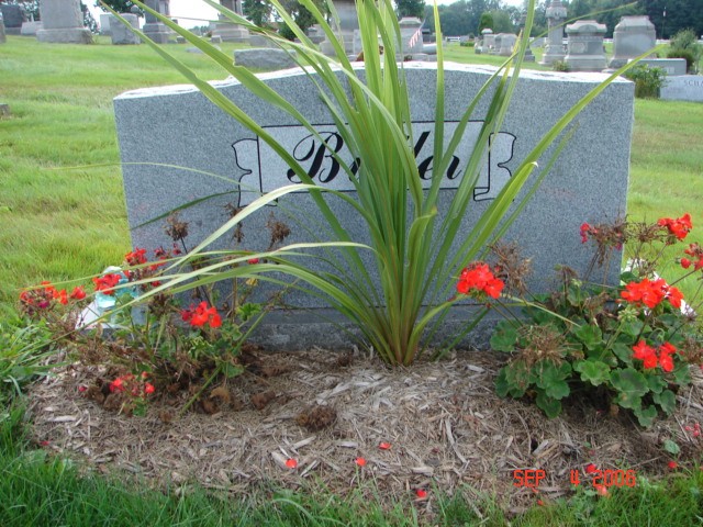 George and Hazel Butler